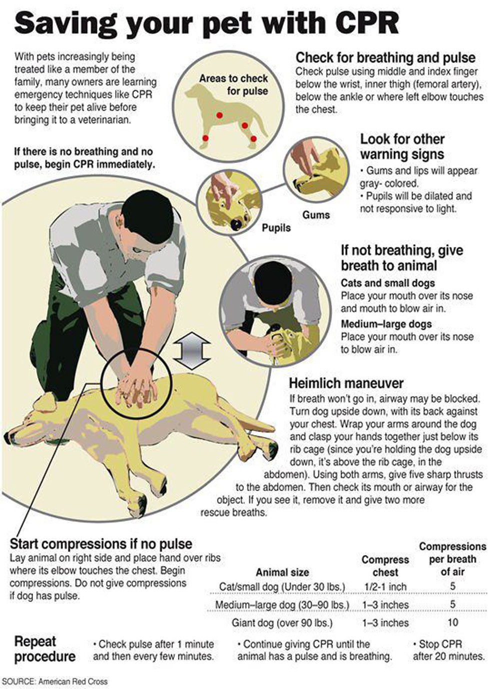 Pug CPR