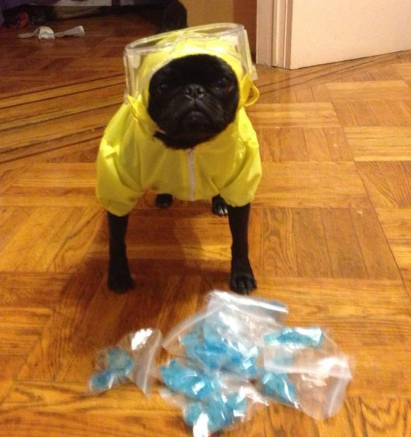 "Jesse, we need to cook."