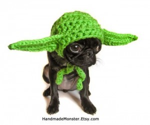sad-etsy-dogs-12
