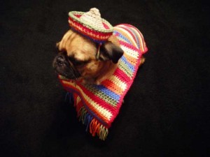 sad-etsy-dogs-18