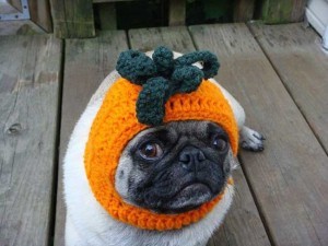 sad-etsy-dogs-halloween-4